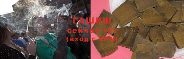индика Осинники