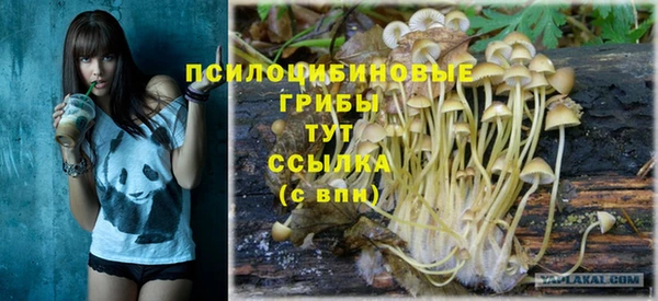 дживик Пестово