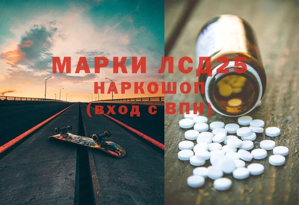 индика Осинники