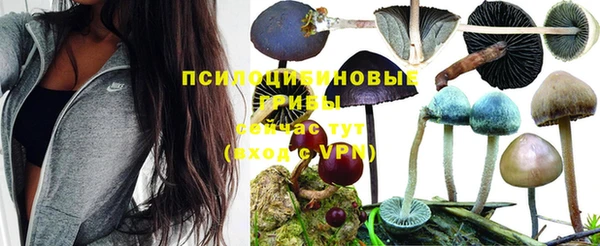 дживик Пестово