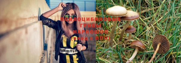 дживик Пестово