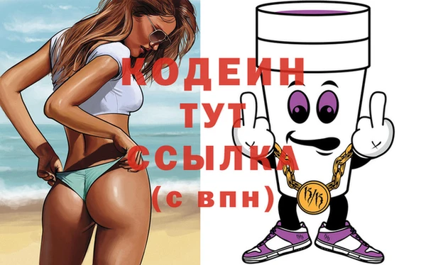 индика Осинники