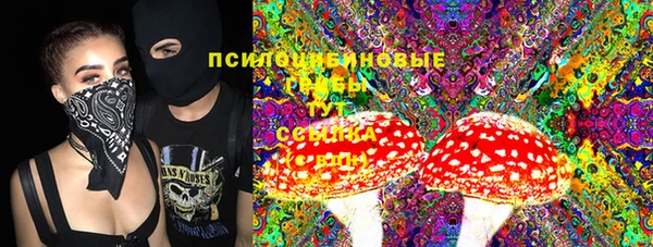 ALPHA PVP Покачи