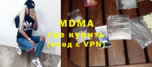 индика Осинники