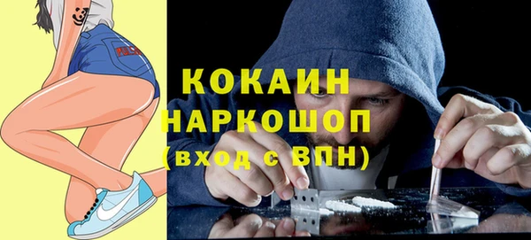 гидропоника Пересвет