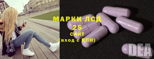 гидропоника Пересвет
