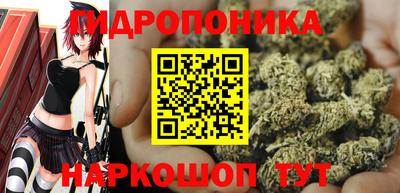 прущие грибы Заводоуковск