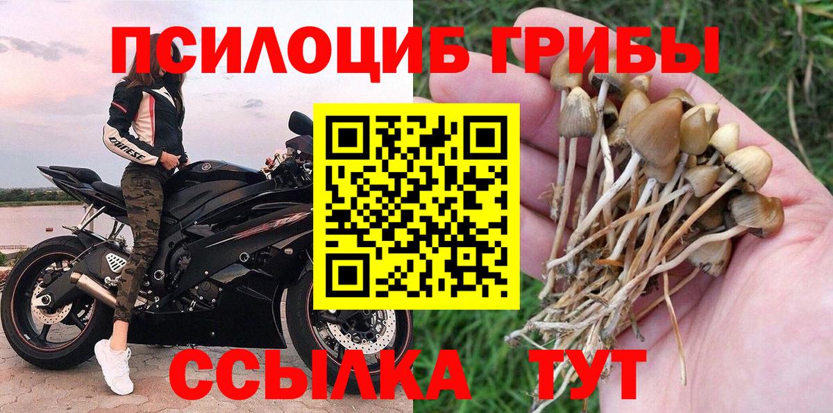 Галлюциногенные грибы Psilocybine cubensis Мыски