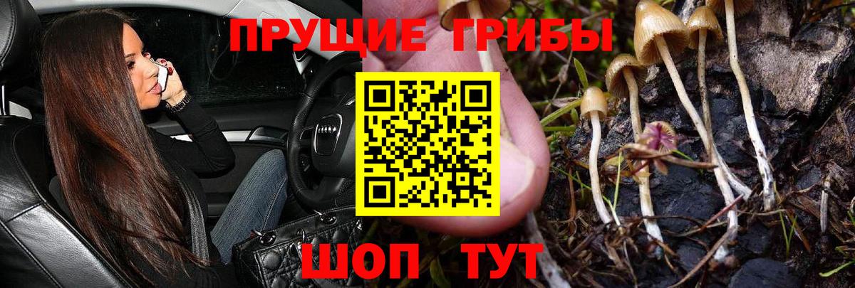 Псилоцибиновые грибы Psilocybine cubensis  Вход с VPN  купить наркотик  Мыски 