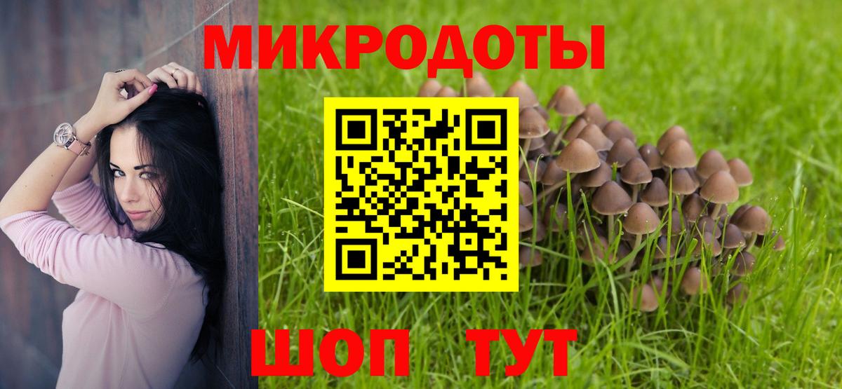 Галлюциногенные грибы мухоморы Мыски