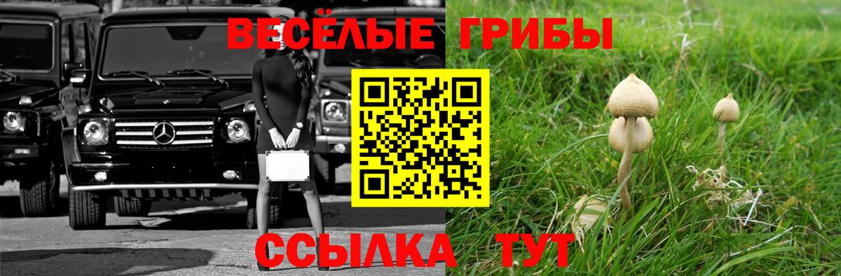 Каннабис  Вход с VPN  MDMA  Мыски  ГАШ  Мяу-Мяу  COCAIN 