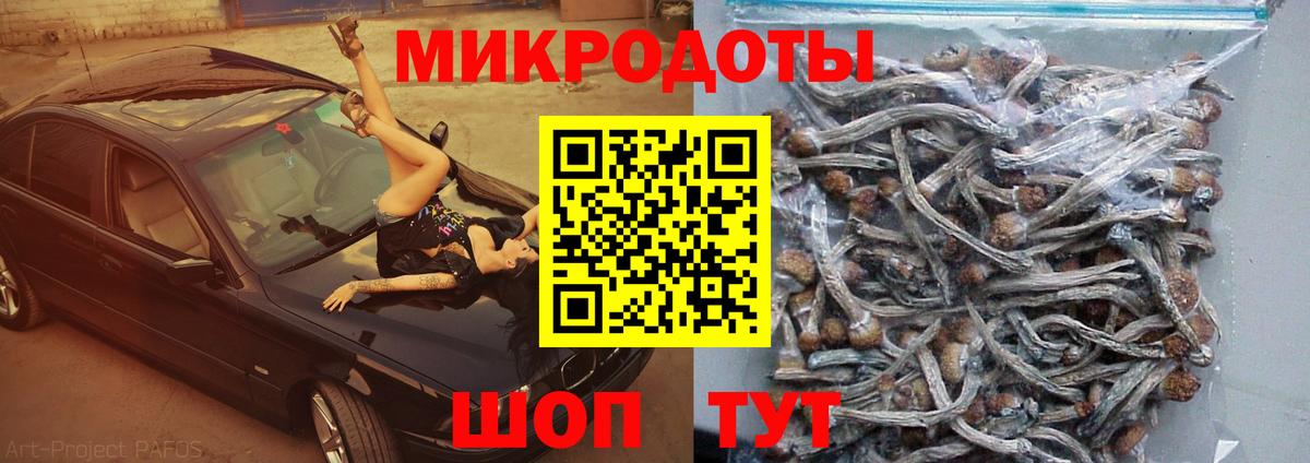 Галлюциногенные грибы мицелий  Мыски 